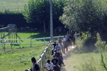 Paseos a caballo dentro de la oferta municipal multiaventura para jóvenes