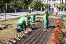 Los jardines de Pamplona renuevan sus plantas y flores dos veces al año, en primavera y en otoño.
