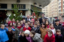 Abetos de Navidad. Reciclaje