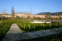 Otra vista del parque de Aranzadi (diciembre).