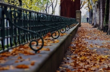 La calle Arrieta con las hojas caducas del otoño, foto del mes de noviembre