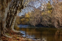 El otoño se cierne sobre el río Arga en el parque fluvial, imagen de octubre