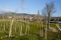 Nuevo parque de Aranzadi (diciembre)
