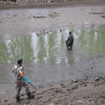 Durante 2016 se multiplican las acciones para la mejora y mantenimiento de la biodiversidad urbana por ejemplo con la limpieza del lago de Mendillorri