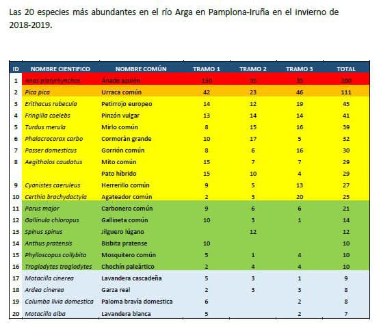 Hegazti negutarren presentzia Iruñean
