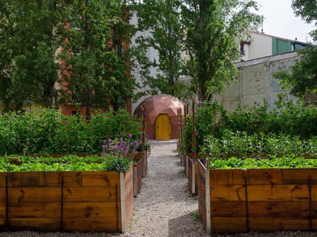 Huertos urbanos comunitarios