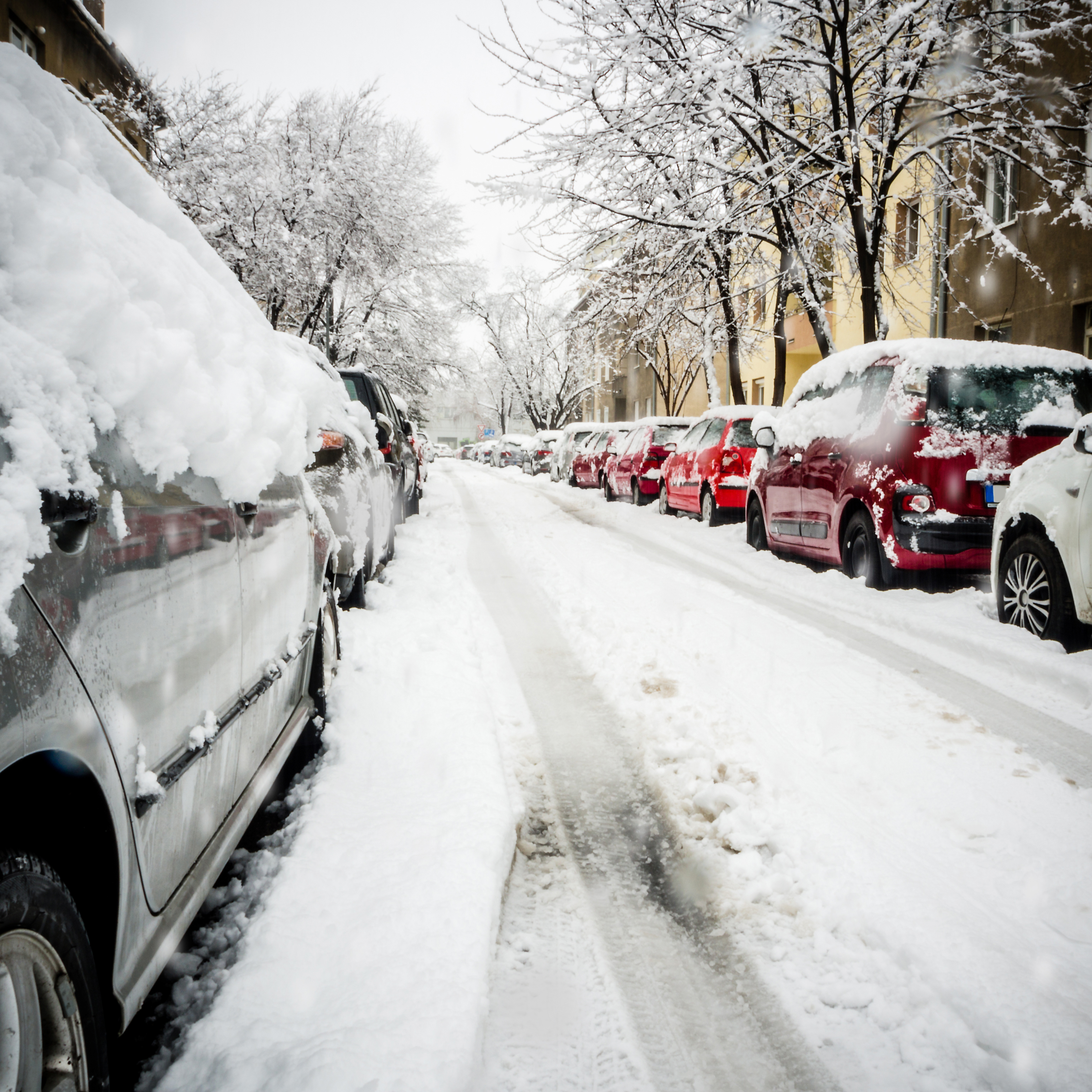 Calle con nieve
