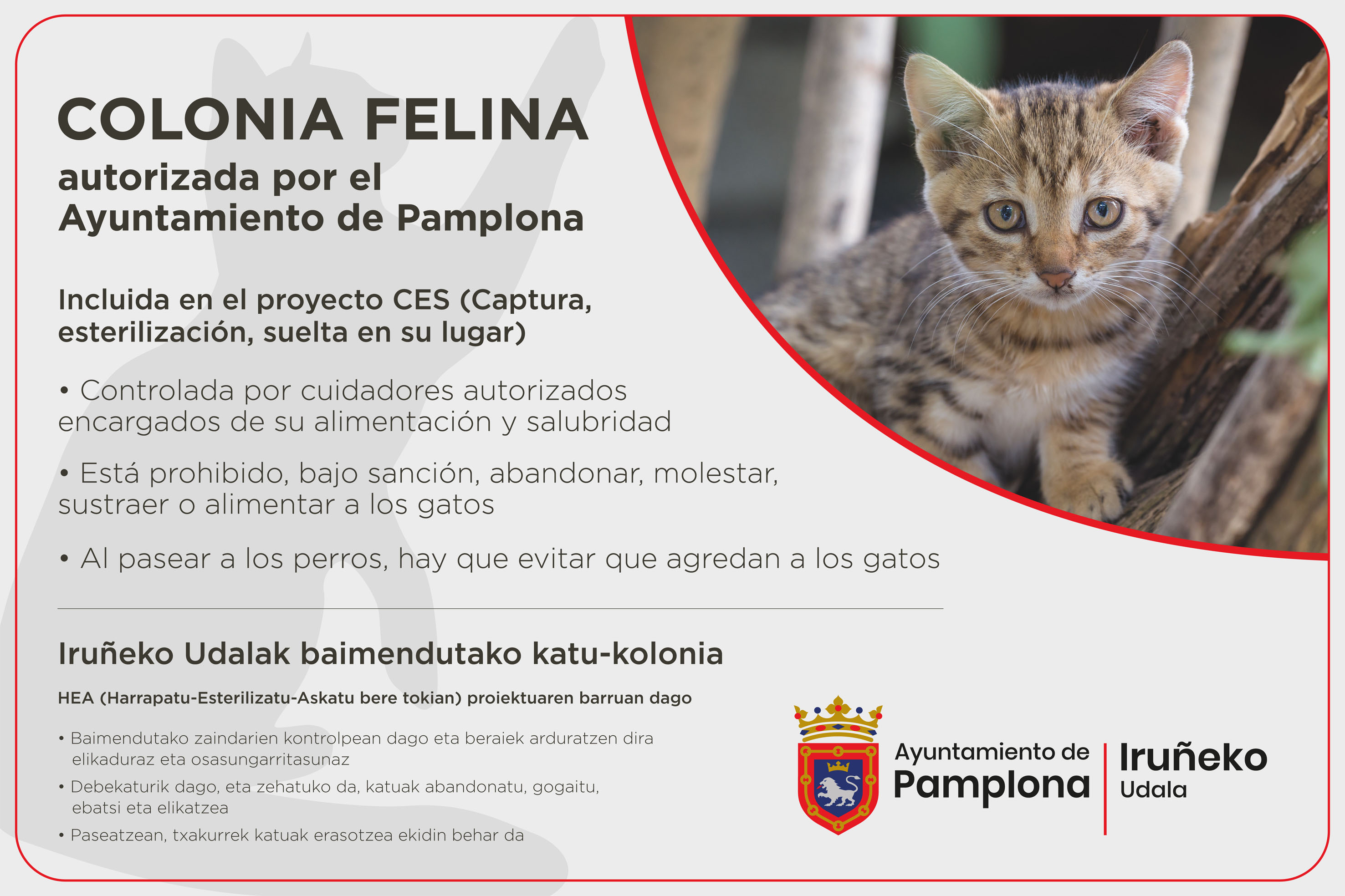 colonias felinas