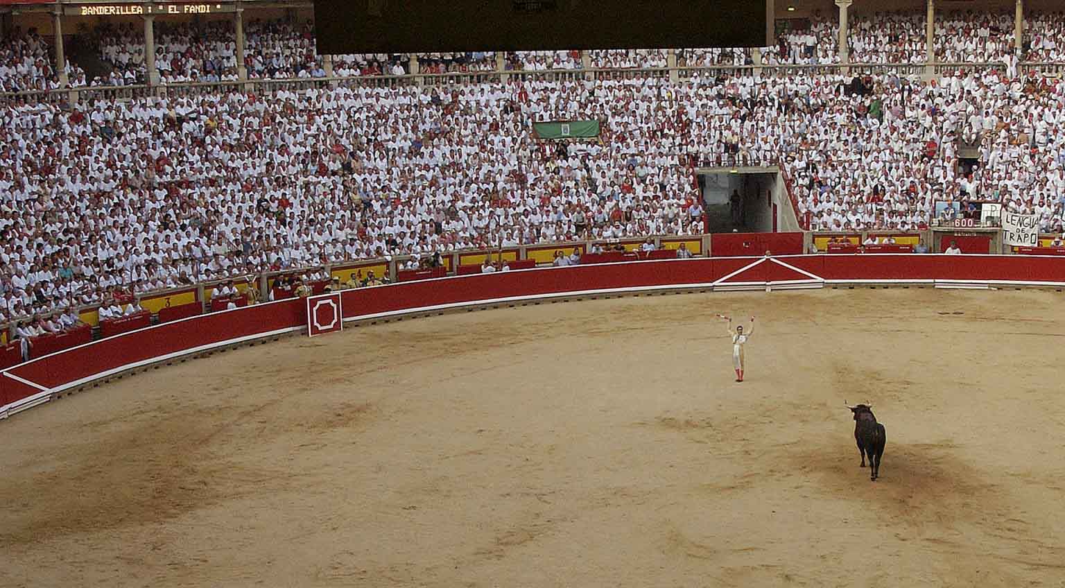 Imagen del coso