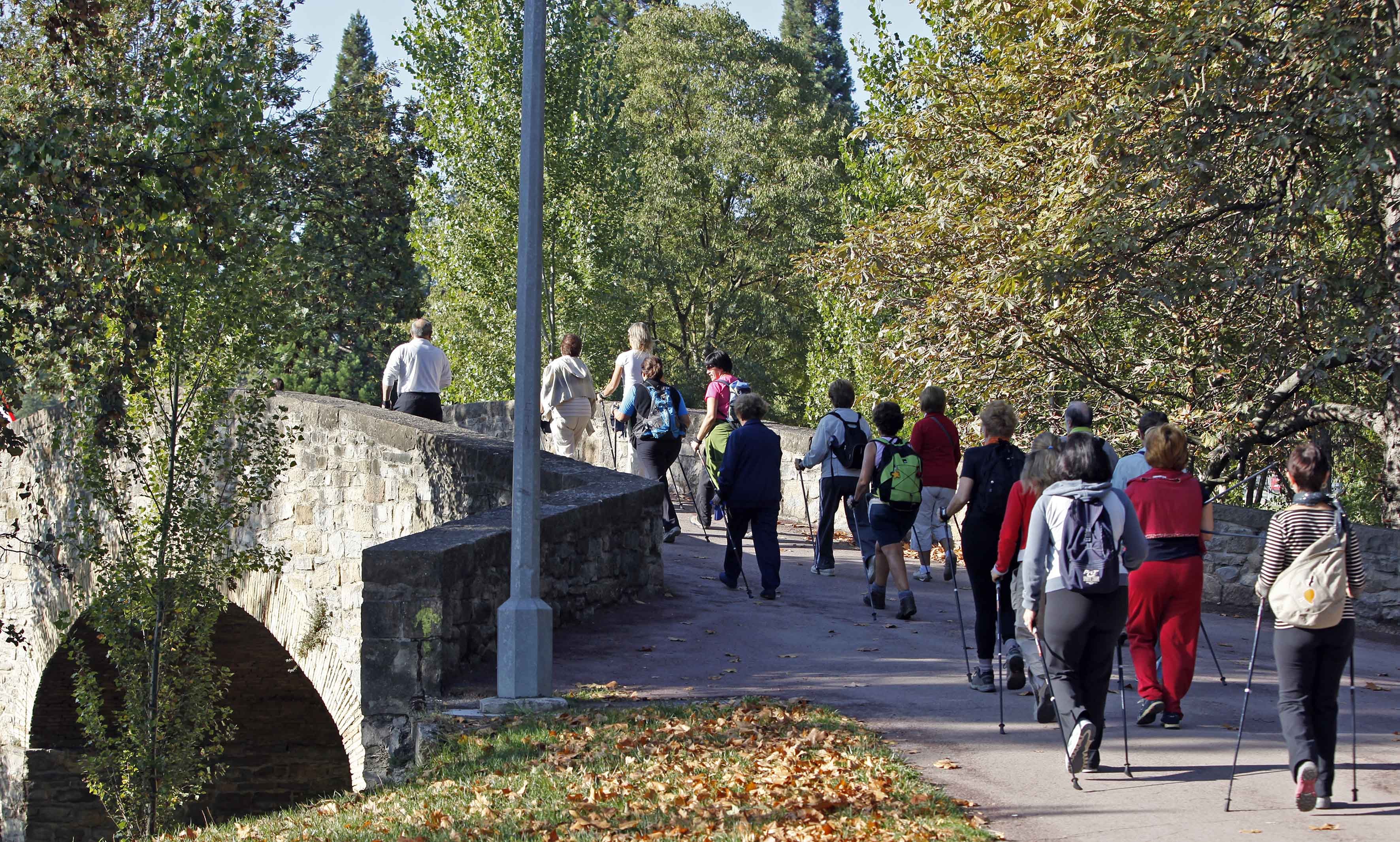 Marcha nórdica 