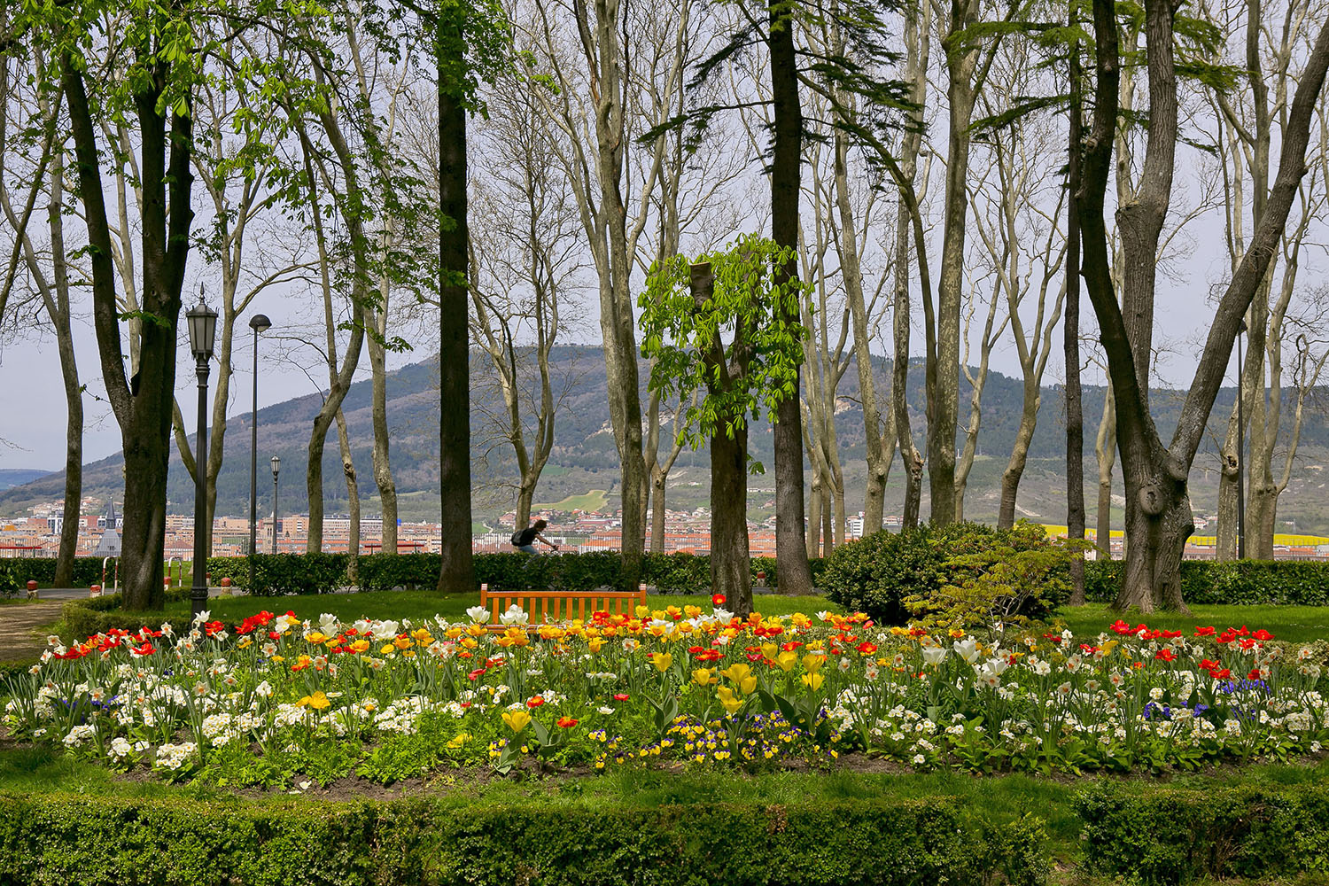 parque