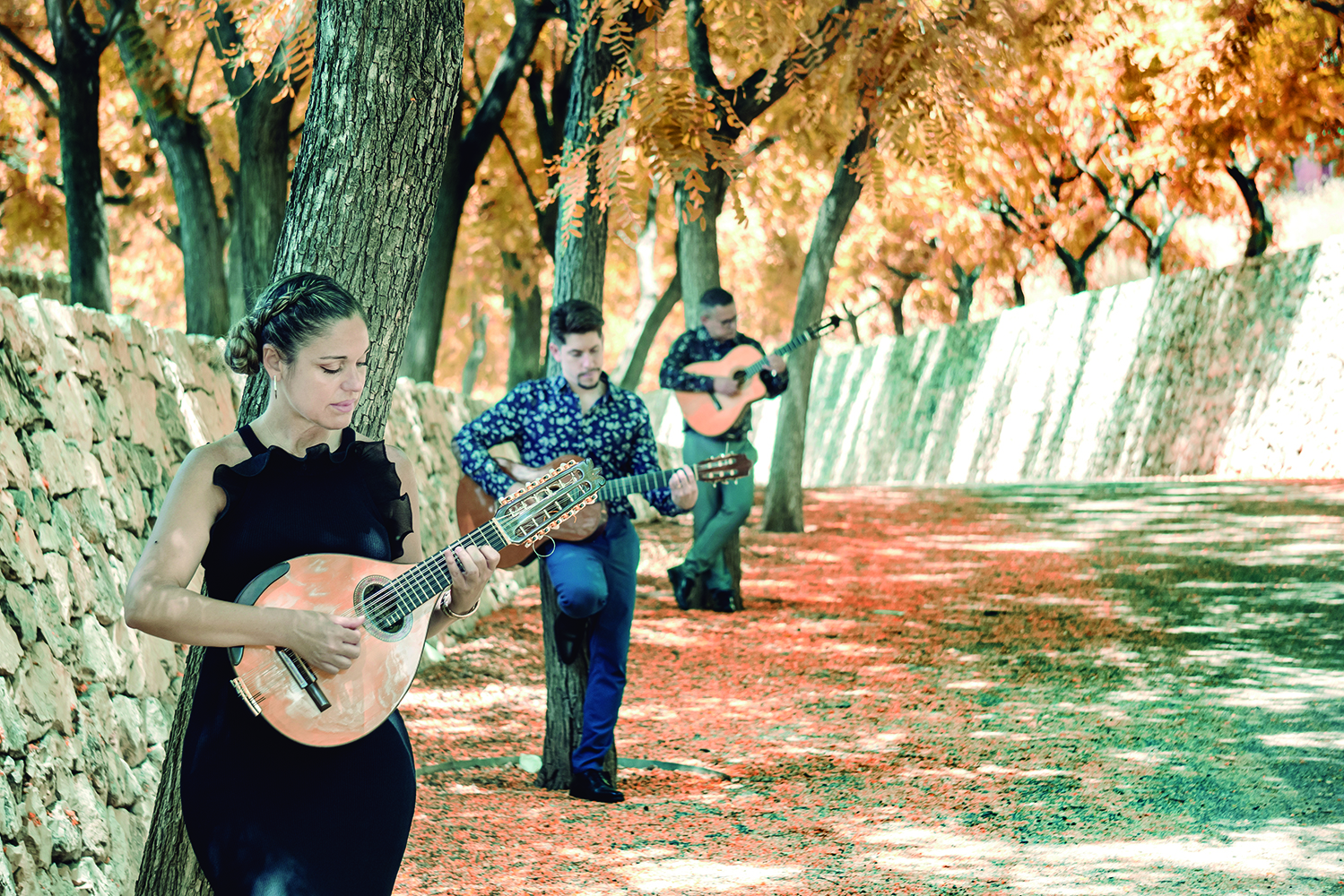 musica