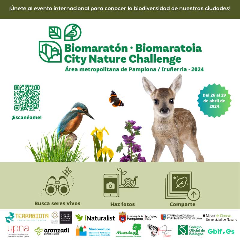 Biomaratón