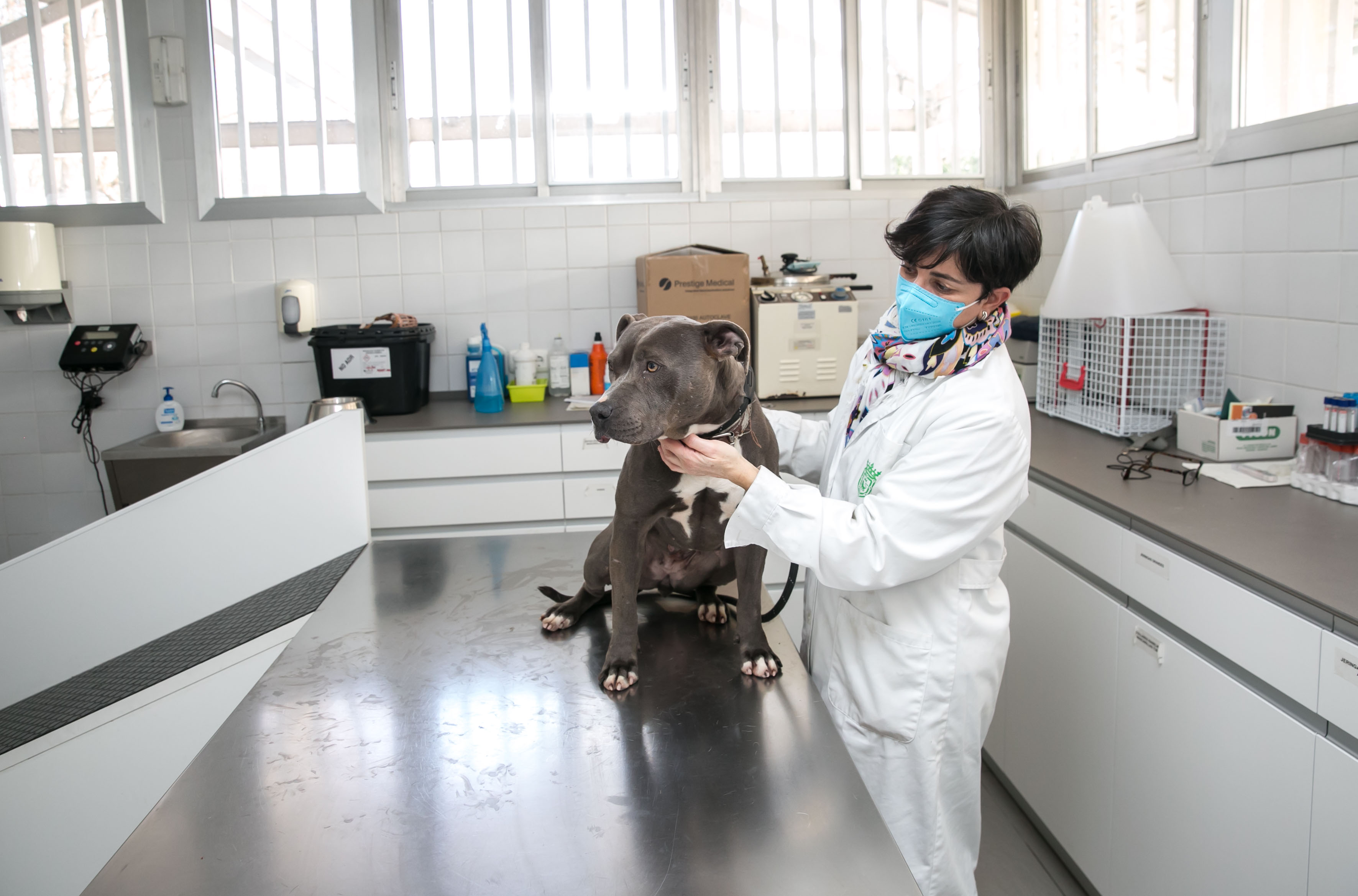 Centro animales