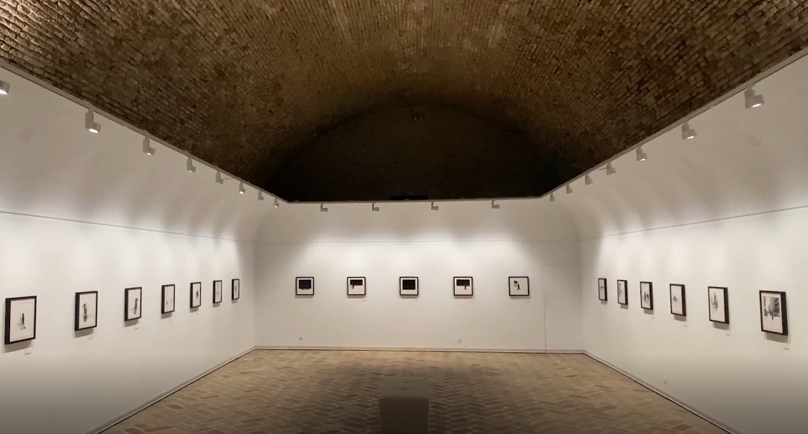expo ciudadela