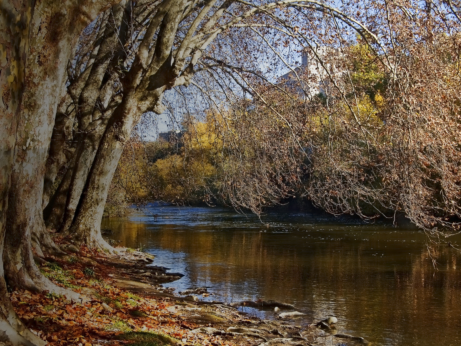 parque fluvial