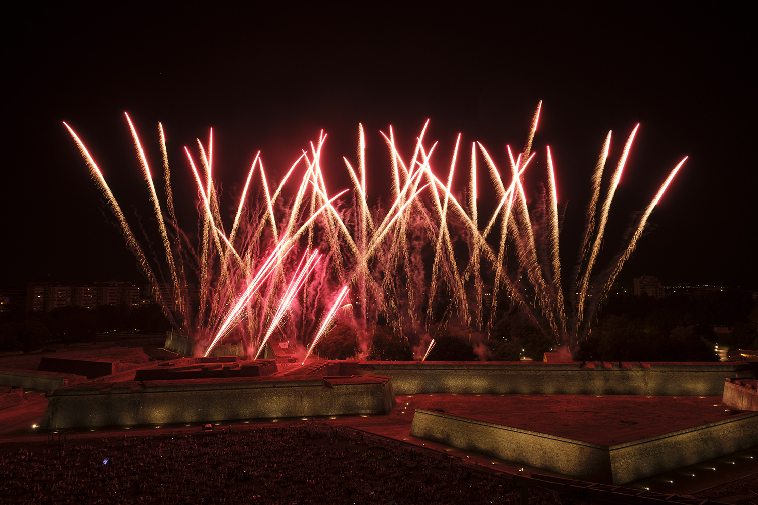 fuegos artificiales