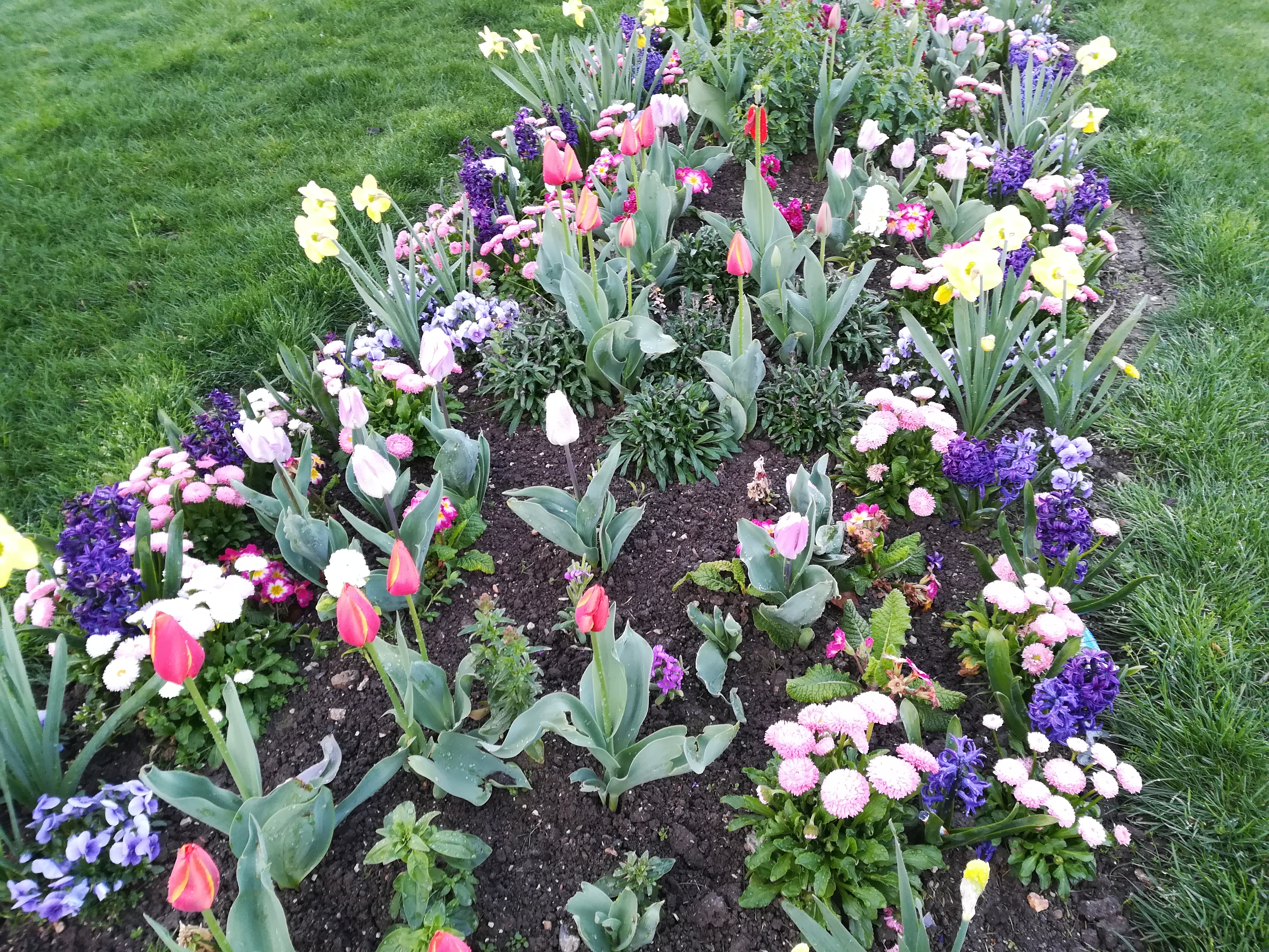 parterre