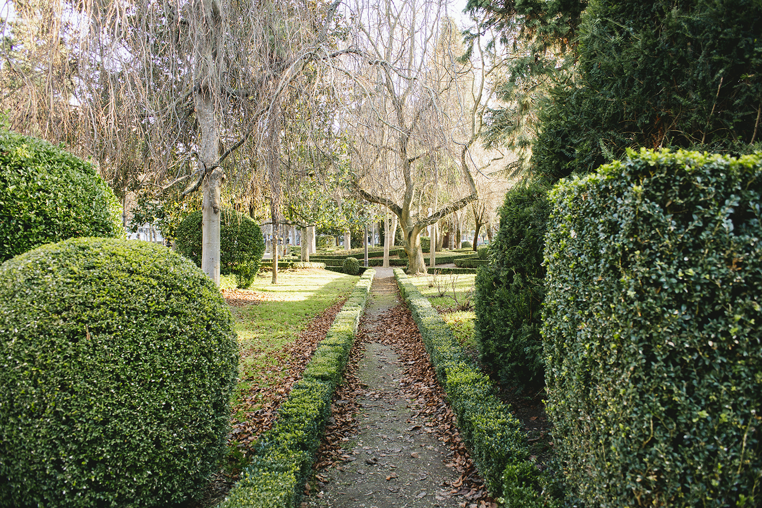 Encuentros de Arboricultura