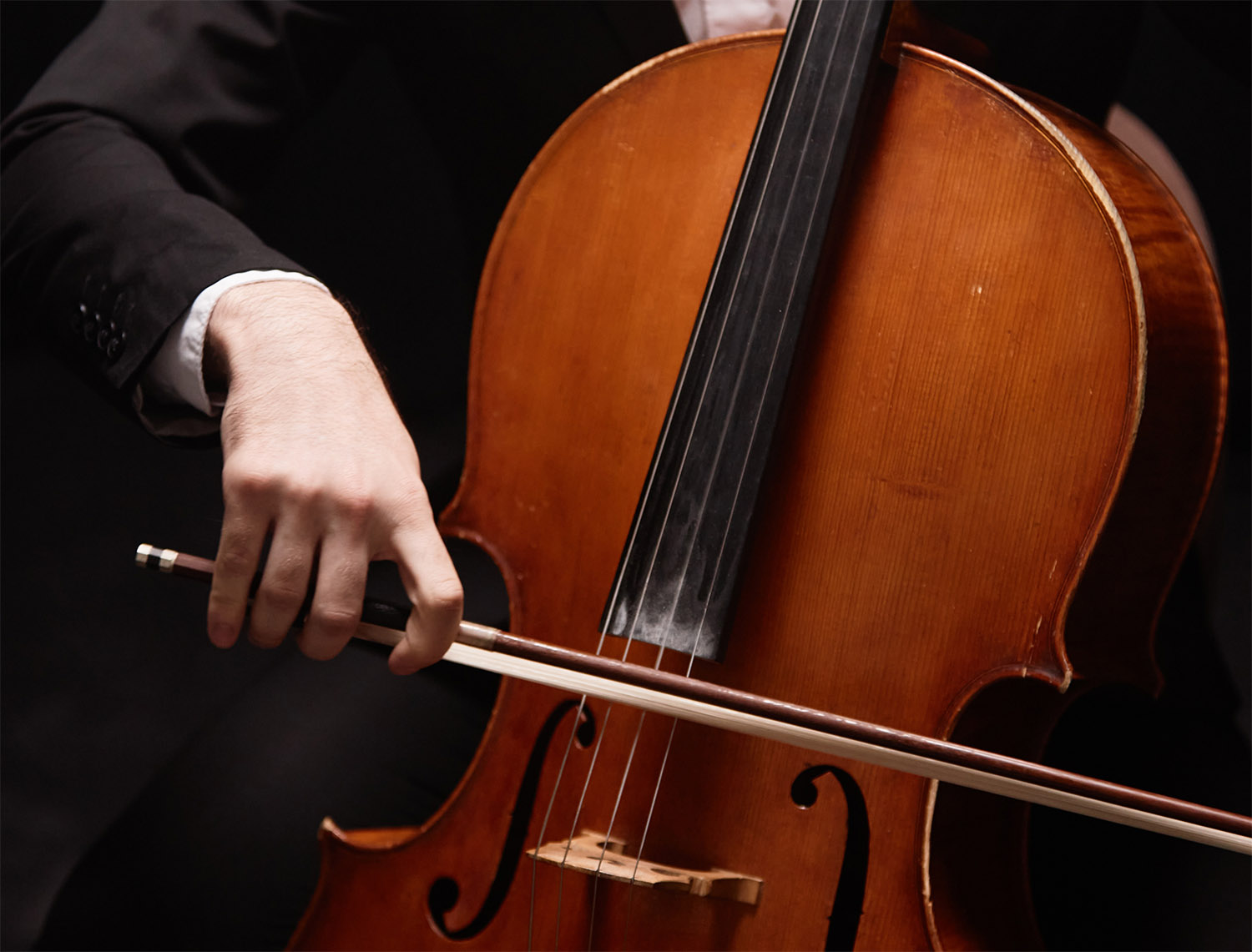 Pamplona Acción Musical