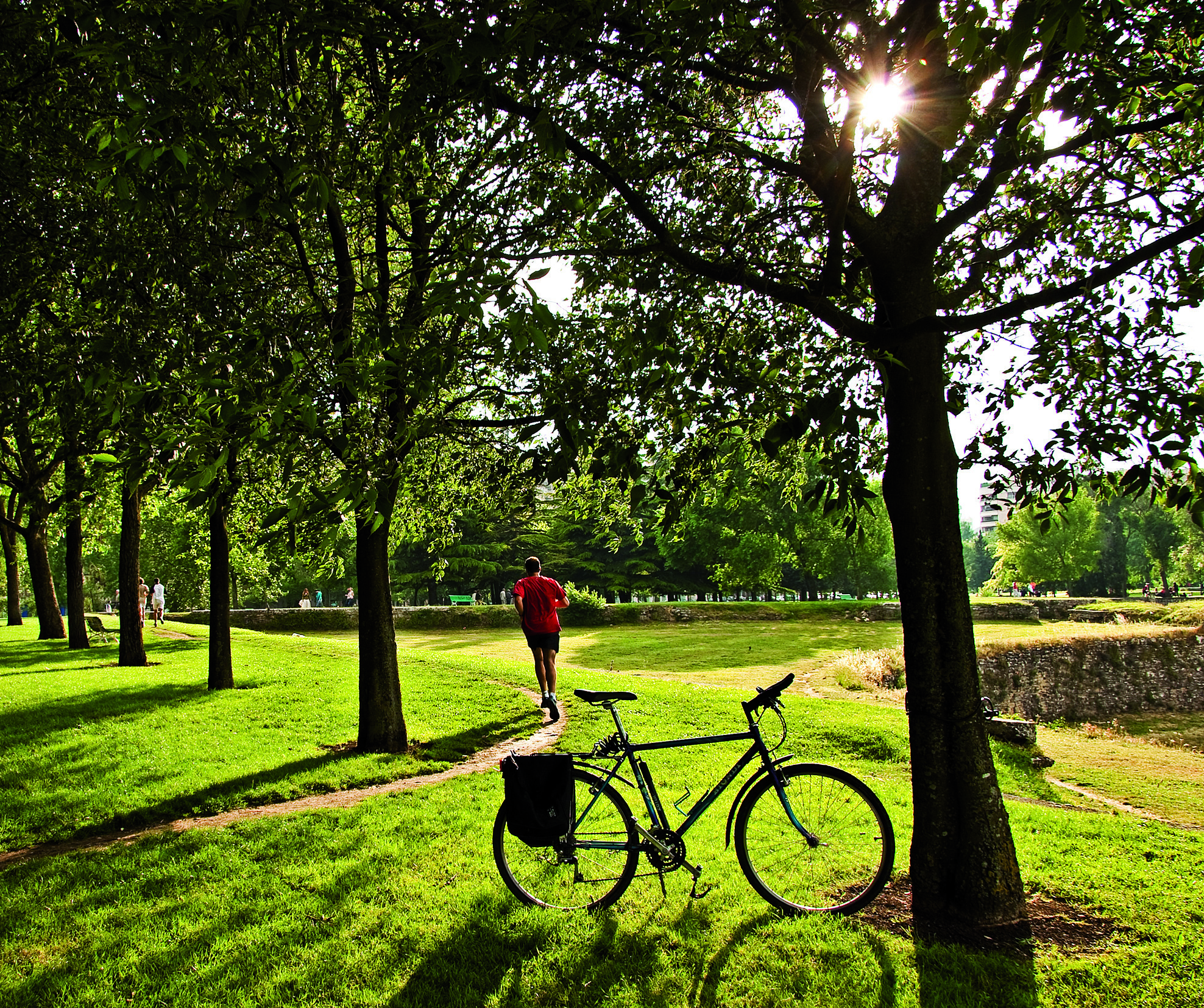 limpieza parques