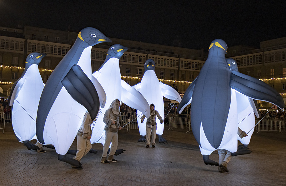 Pingüinos