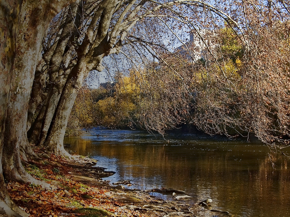 agua río