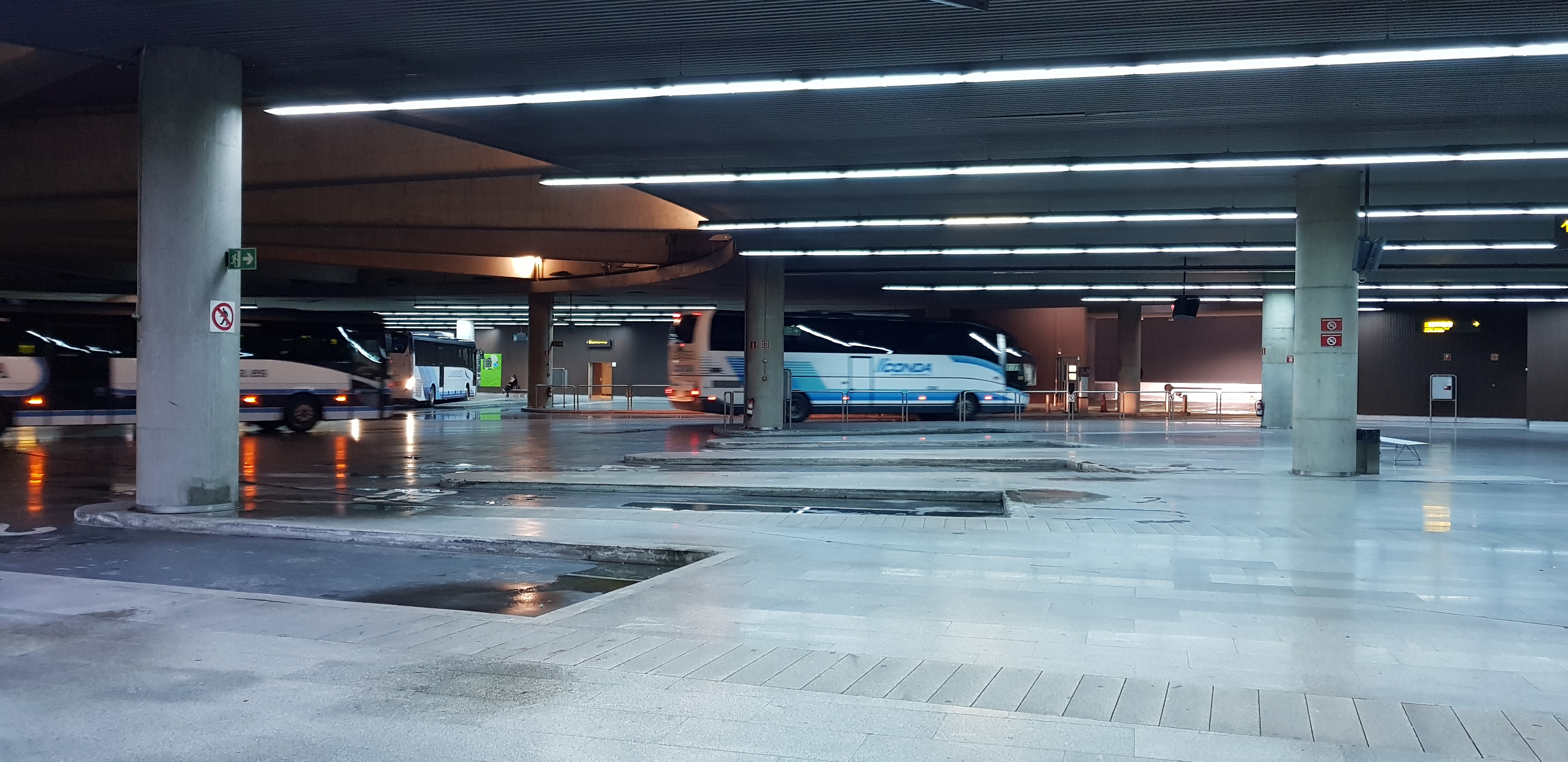 Autobuses