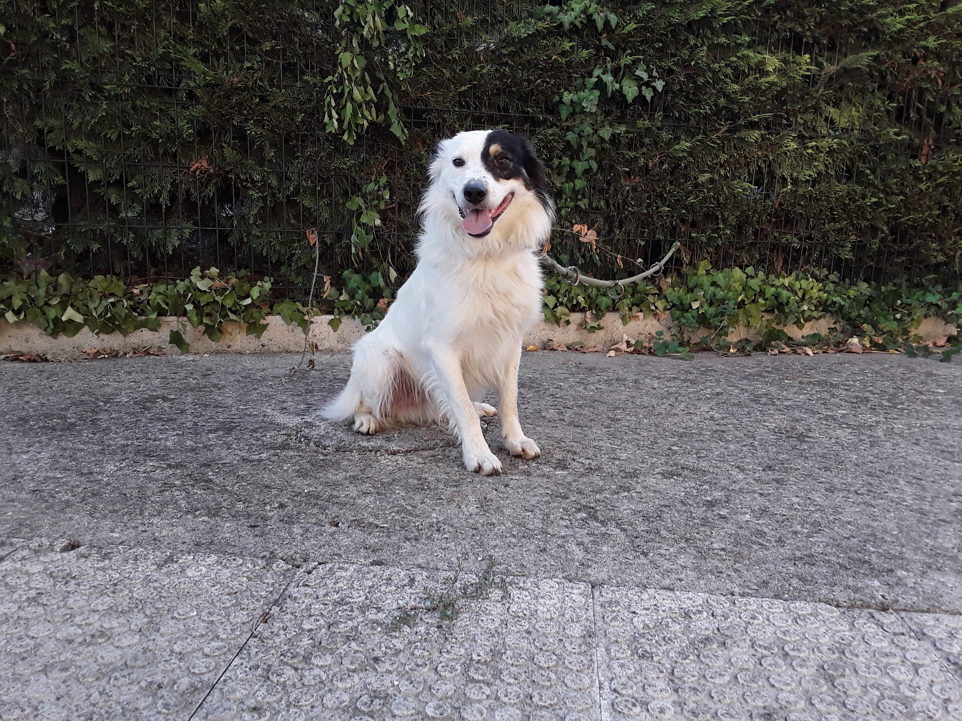 barri