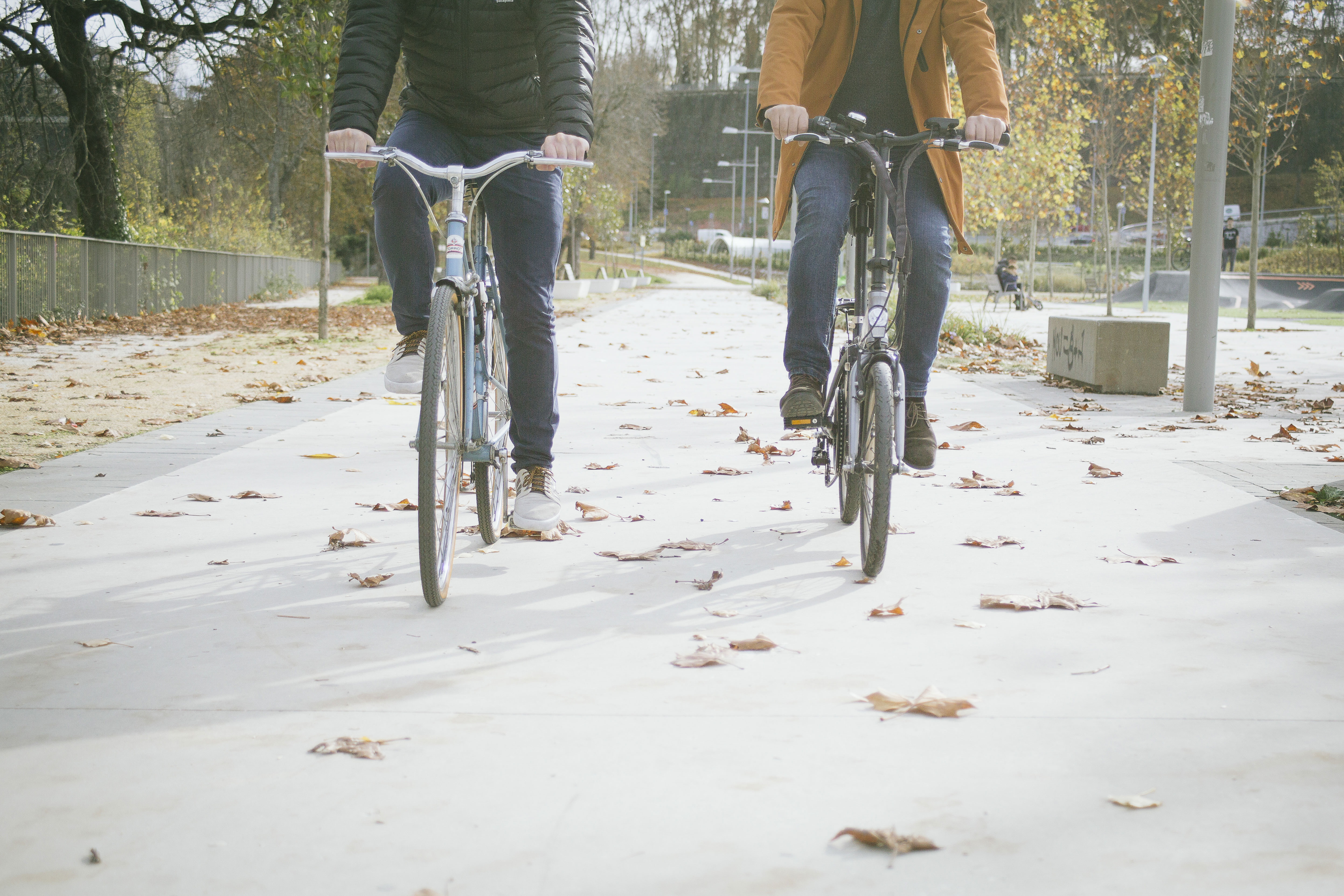 Bicis
