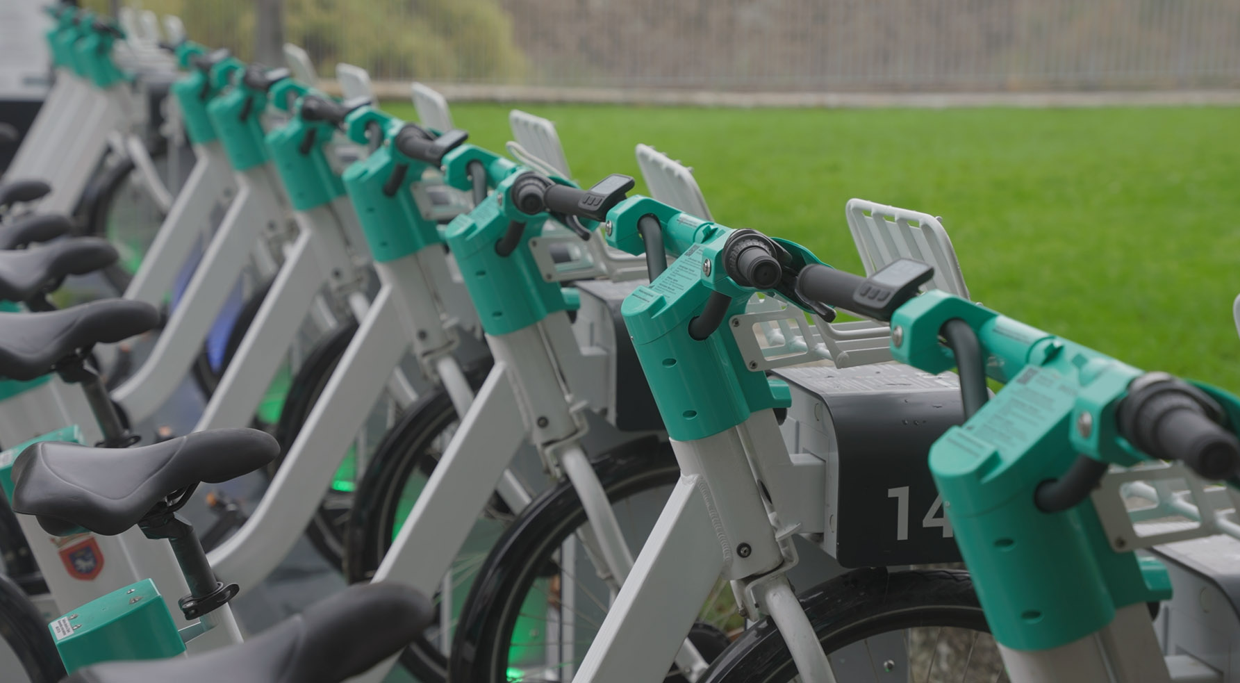 bicis