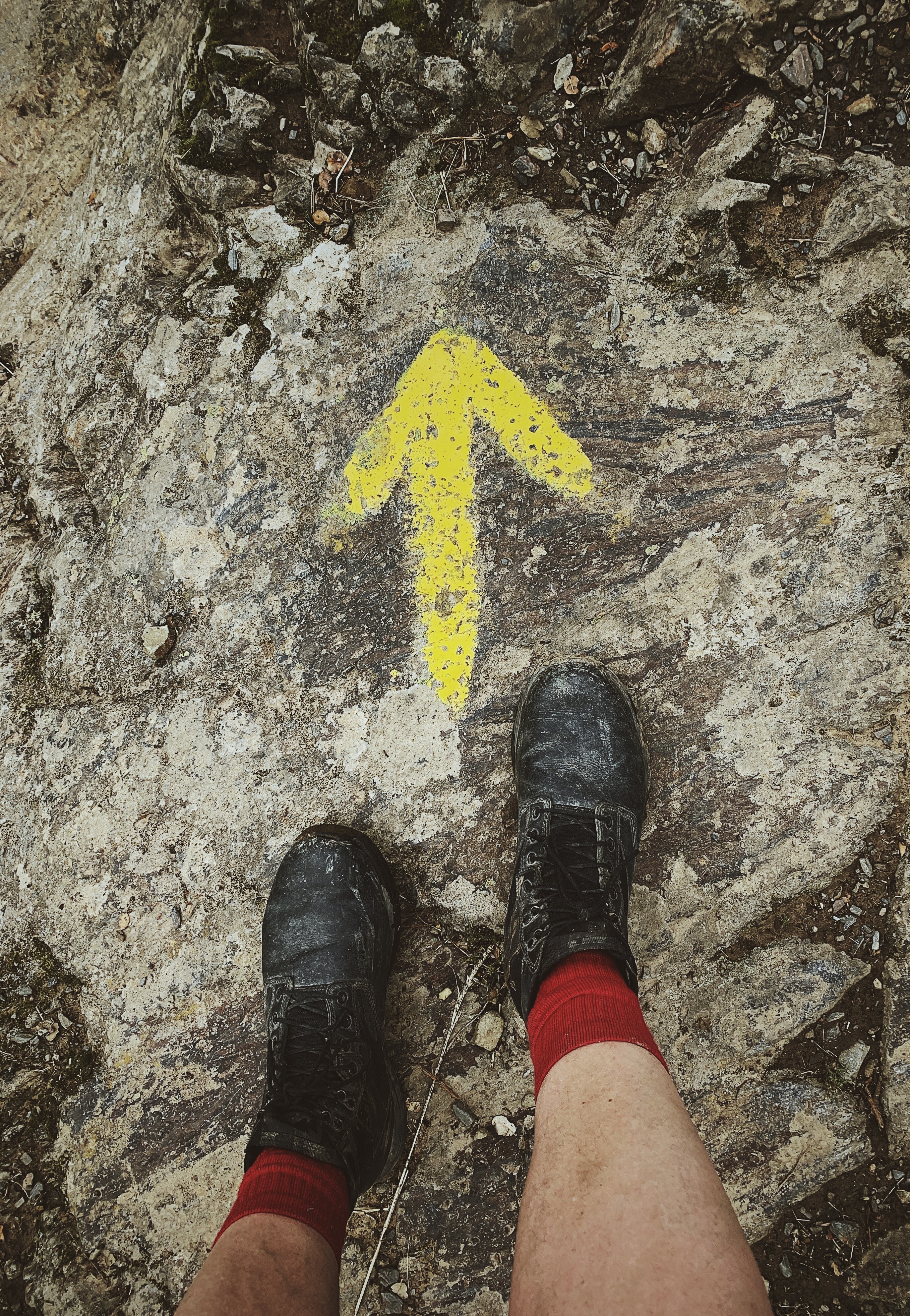 camino de santiago
