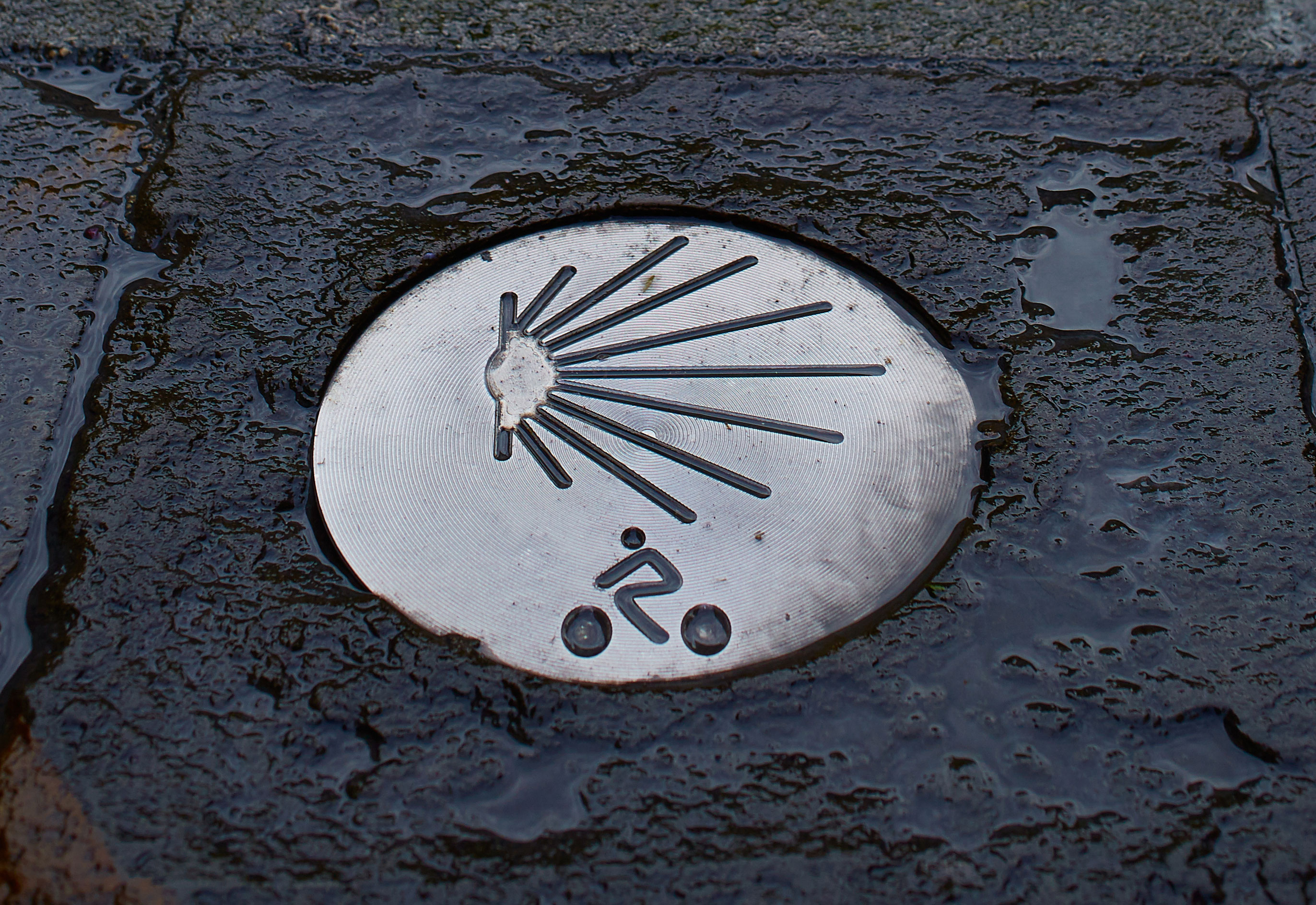 camino de santiago