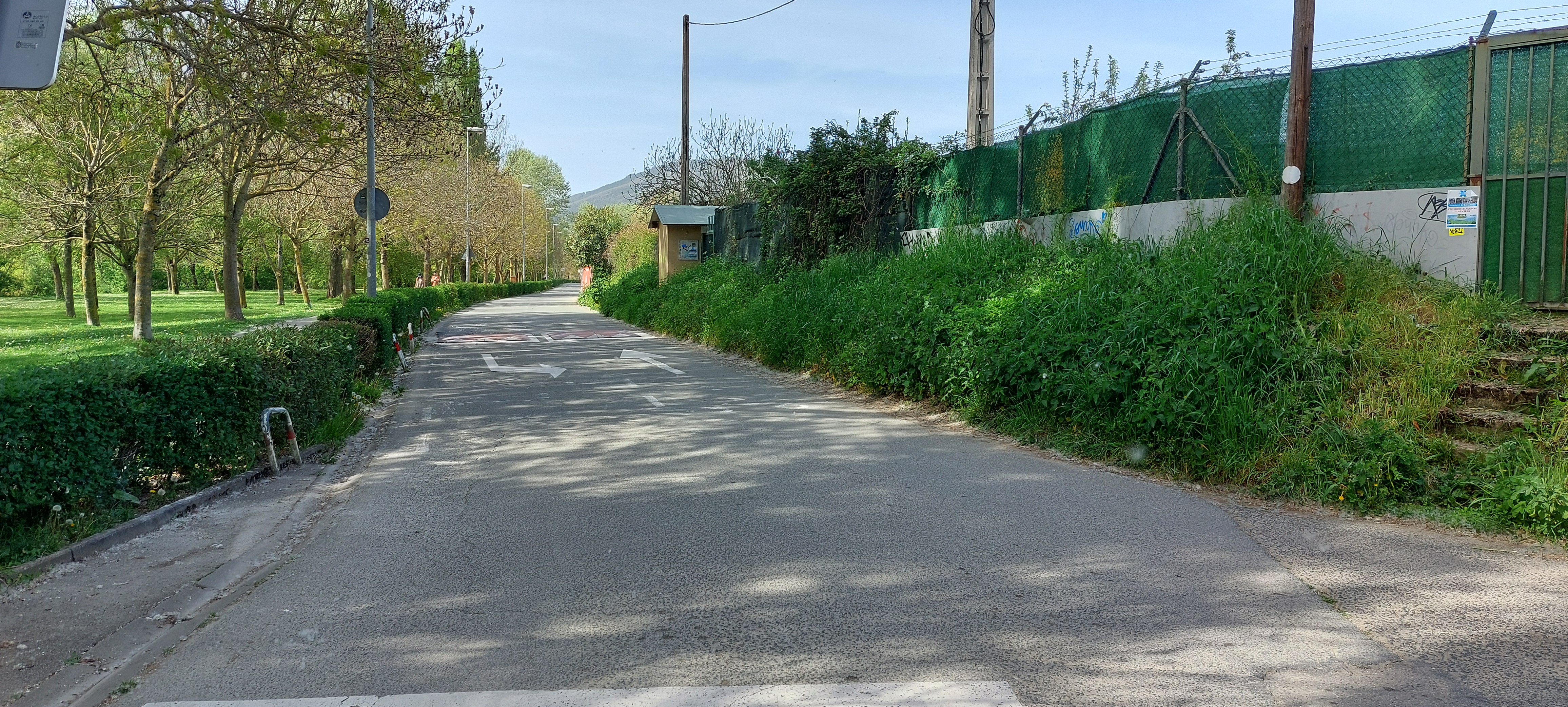 Camino de Caparroso