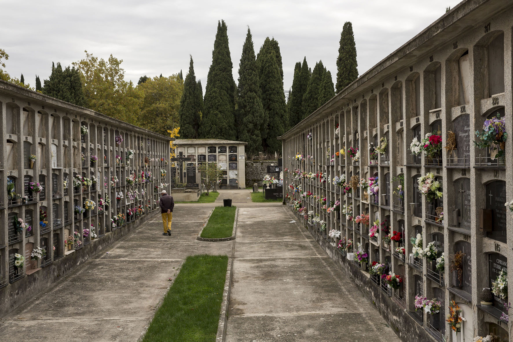 cementerio 