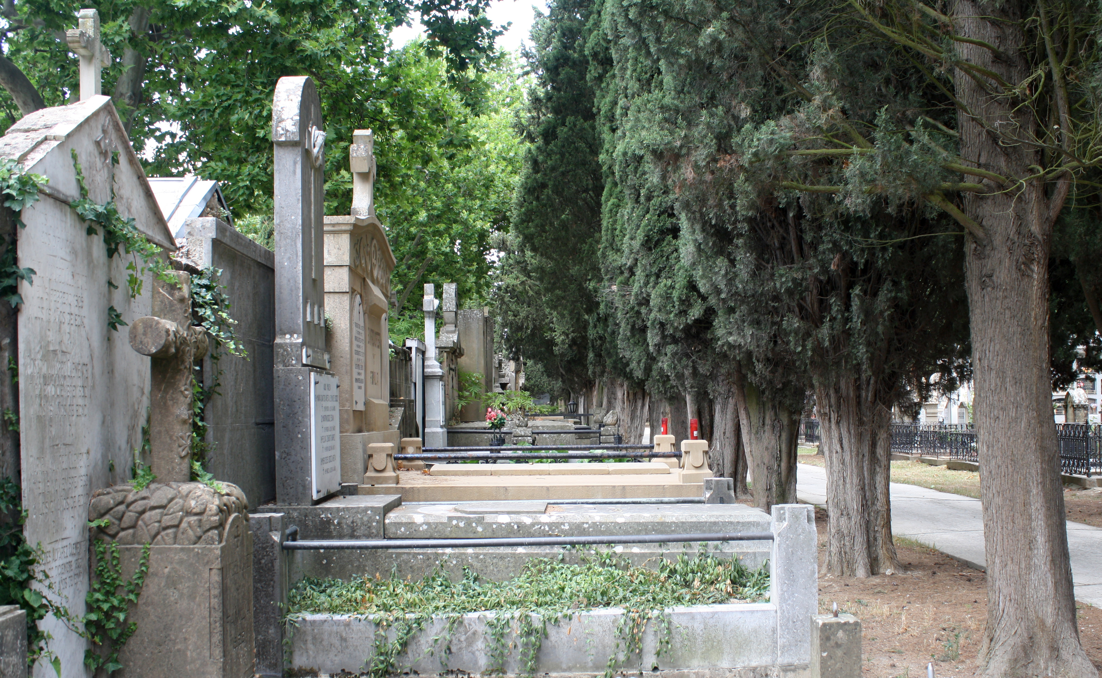 cementerio municipal de San José