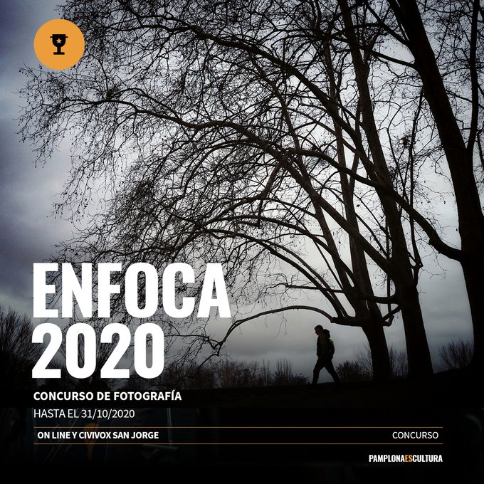 cartel del concurso enfoca
