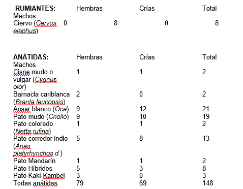 tabla