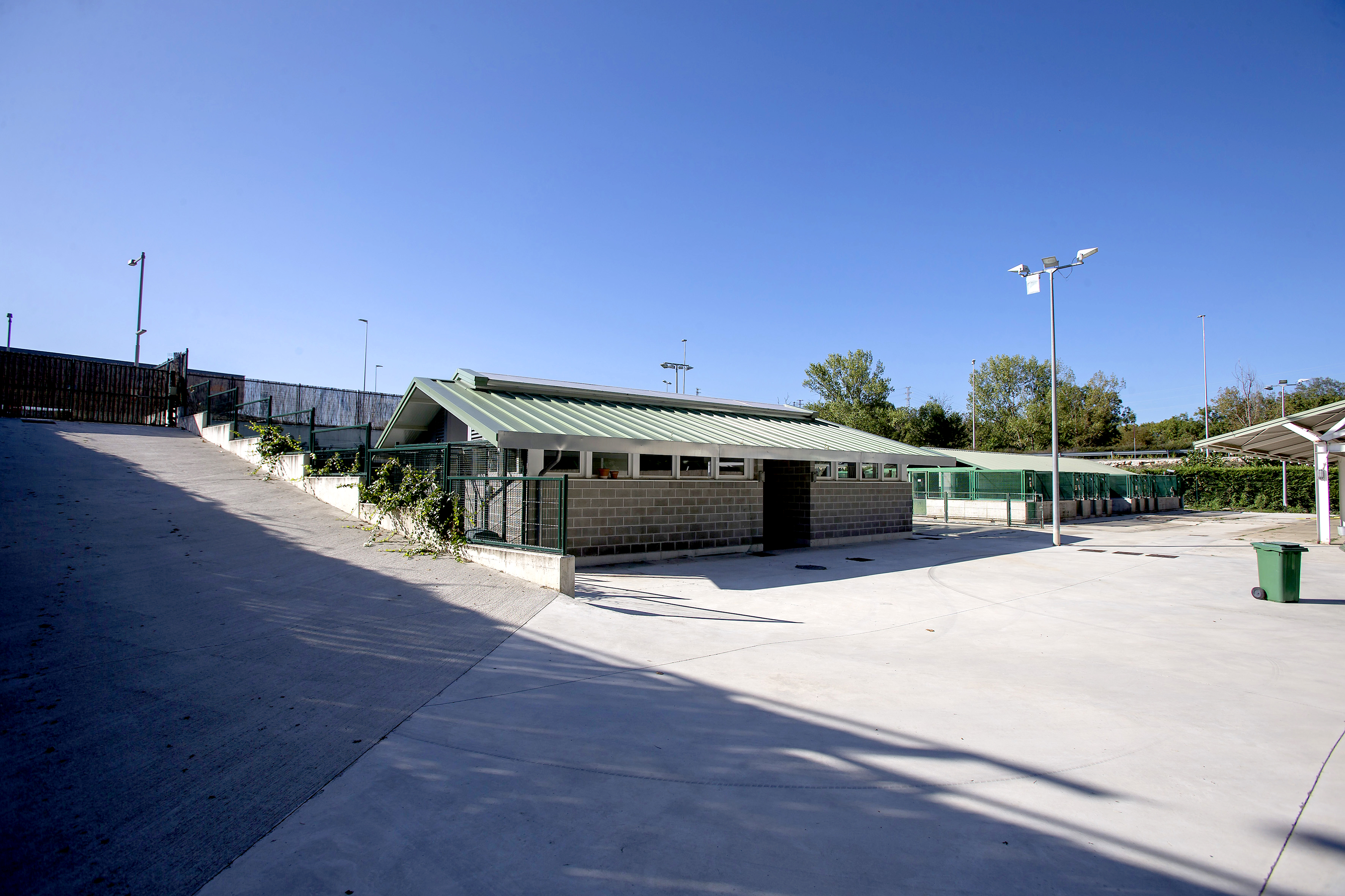 centro de animales