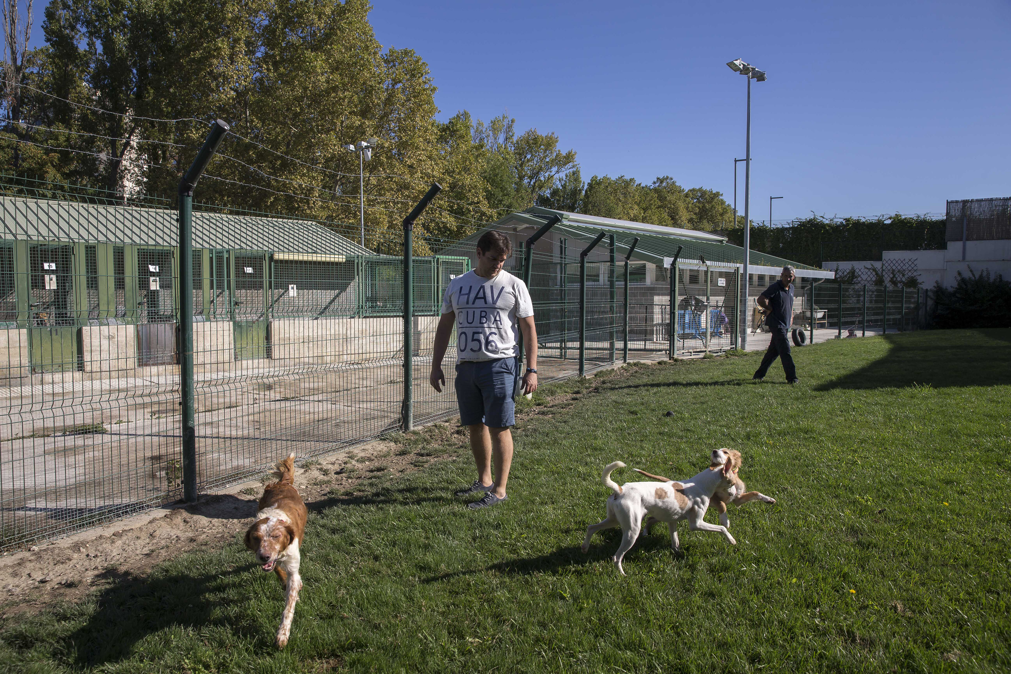 centro de animales