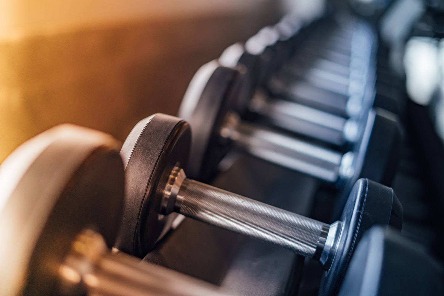 gimnasio