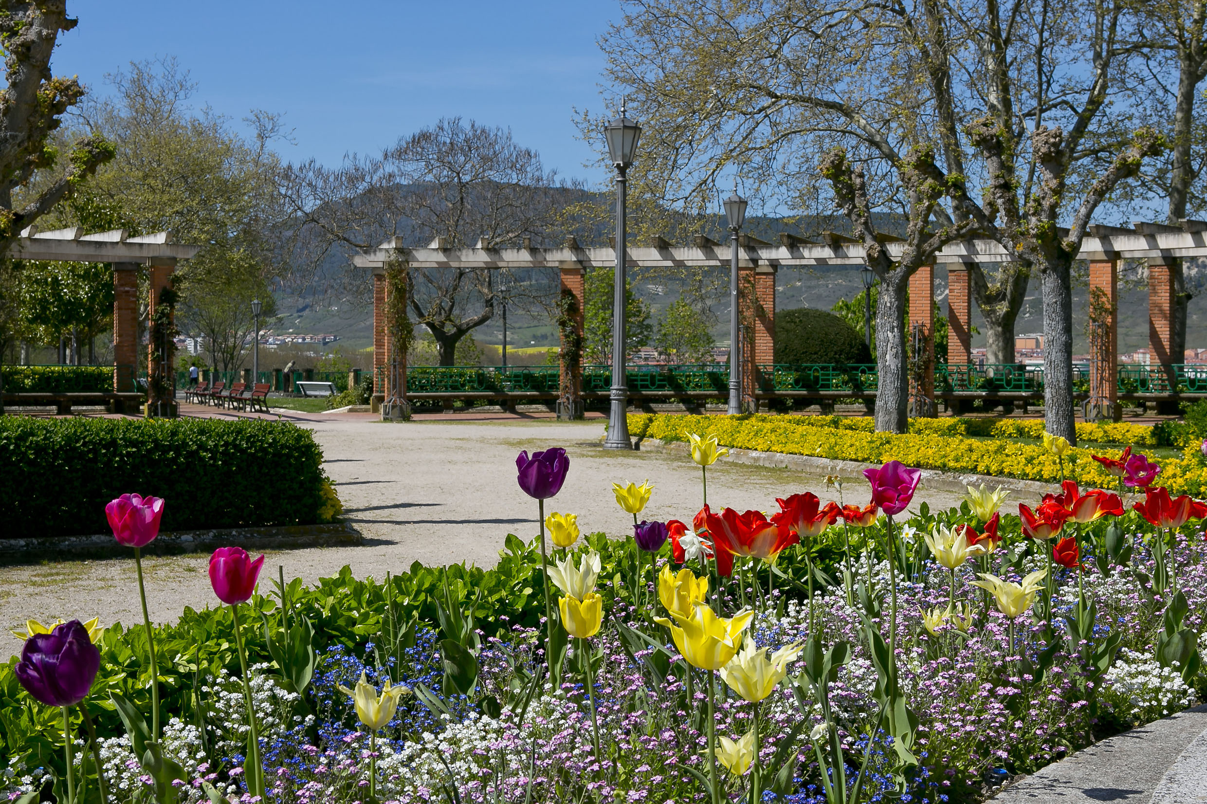 Parterre