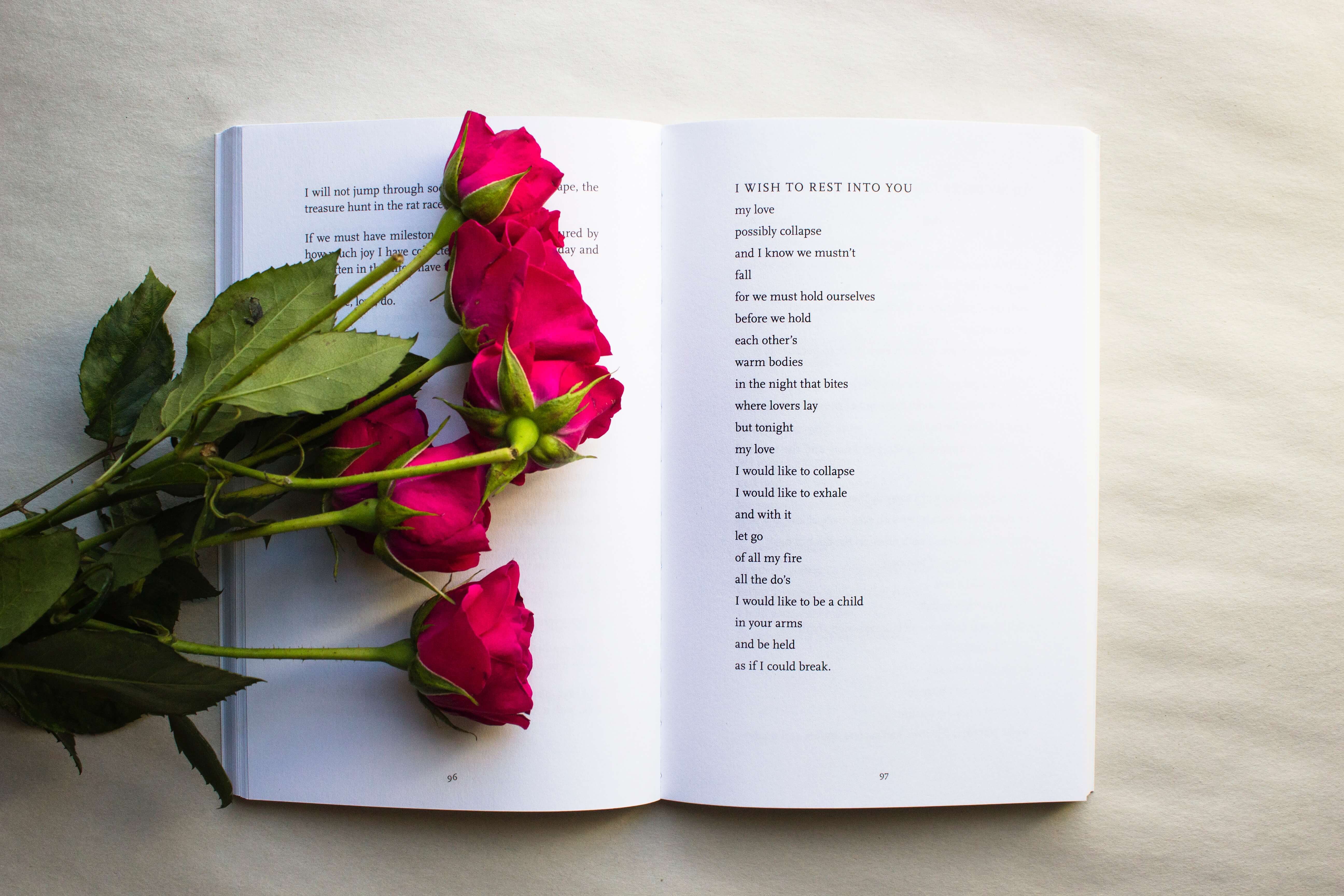 día libro y flor