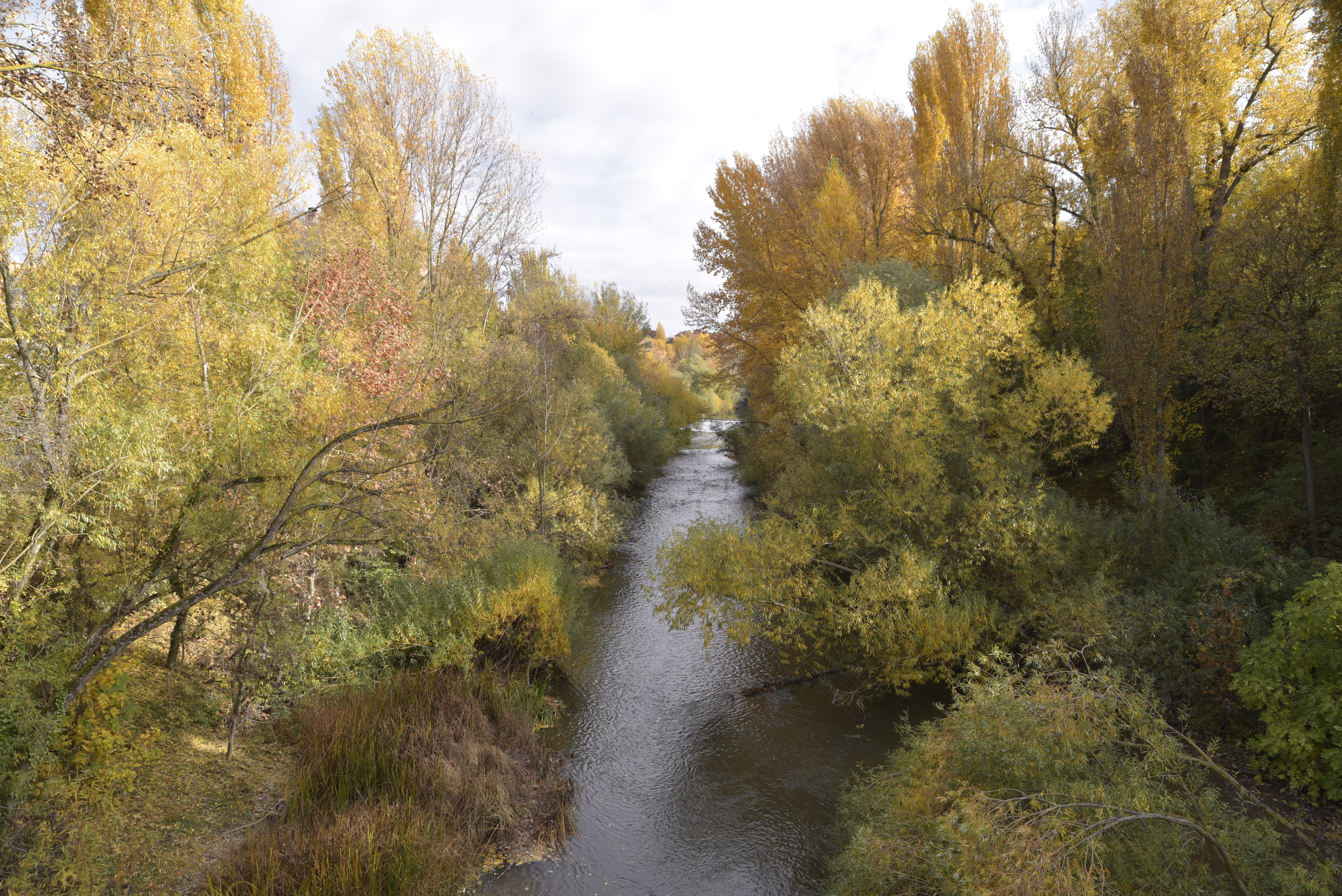 Río