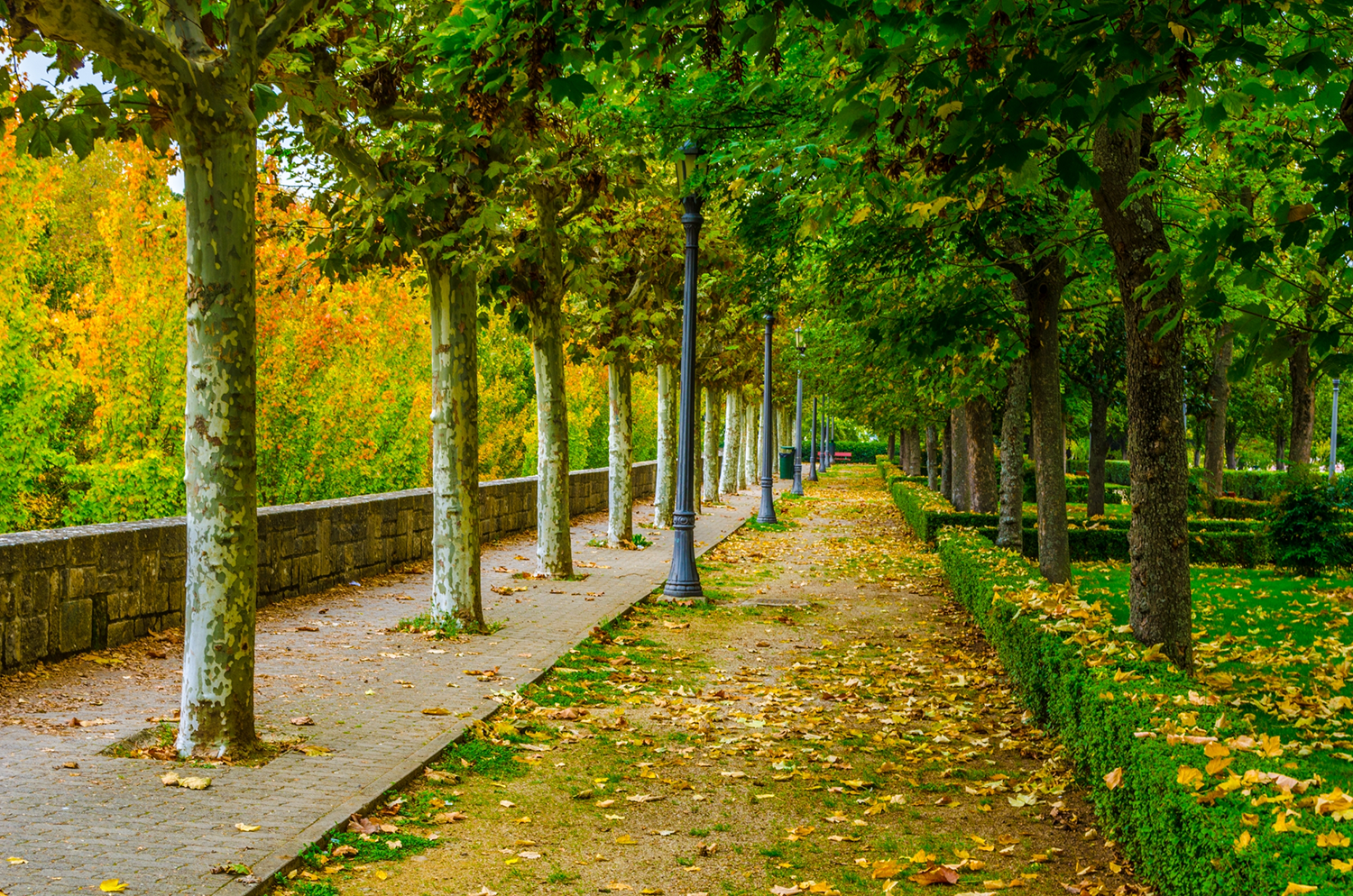 zona verde