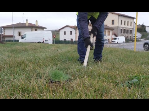 https://youtu.be/0zZZNjMi9Z0