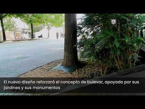 Proyecto de reurbanización del paseo de Sarasate