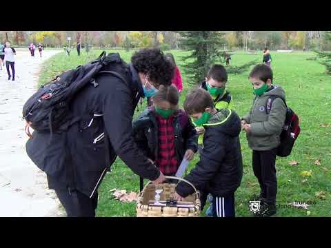 Sentir Naturaleza / Natura sentitu