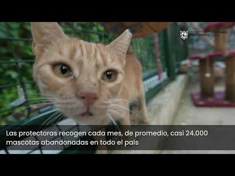 Vídeo