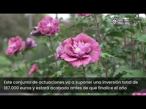 Puesta en funcionamiento de la cortina de agua y otros elementos del parque Yamaguchi